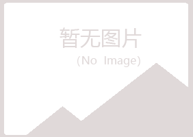 从化夜山能源有限公司